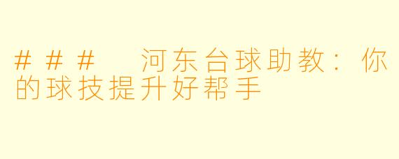 ### 河东台球助教：你的球技提升好帮手