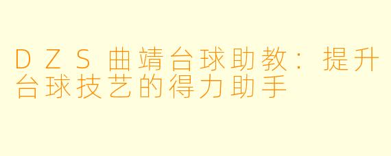 DZS曲靖台球助教：提升台球技艺的得力助手