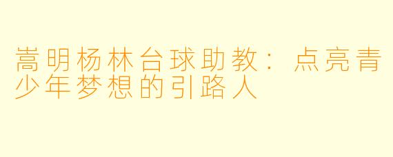 嵩明杨林台球助教:点亮青少年梦想的引路人