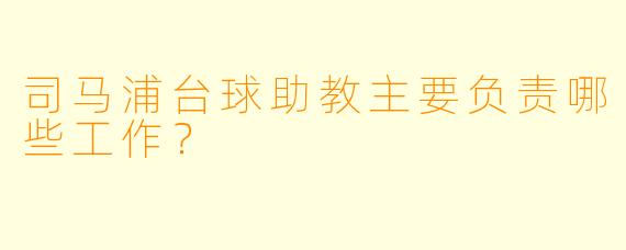 司马浦台球助教主要负责哪些工作？