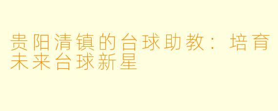 贵阳清镇的台球助教:培育未来台球新星