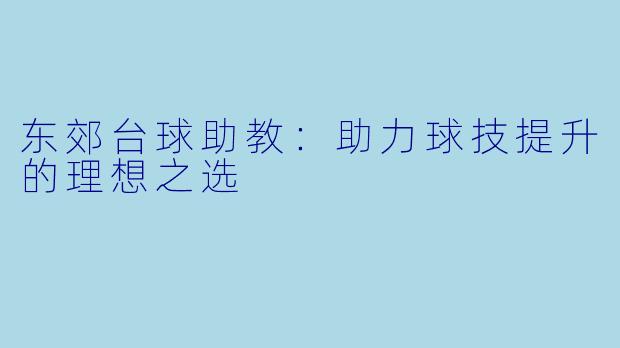 东郊台球助教：助力球技提升的理想之选