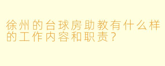 徐州的台球房助教有什么样的工作内容和职责？