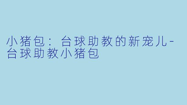 小猪包：台球助教的新宠儿-台球助教小猪包