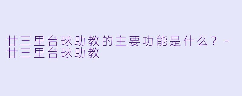 廿三里台球助教的主要功能是什么？