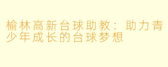 榆林高新台球助教：助力青少年成长的台球梦想
