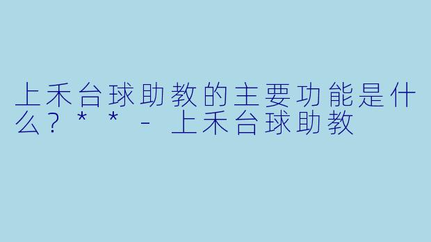 上禾台球助教的主要功能是什么？**