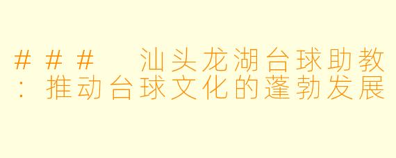 ### 汕头龙湖台球助教:推动台球文化的蓬勃发展