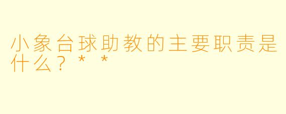 小象台球助教的主要职责是什么?**