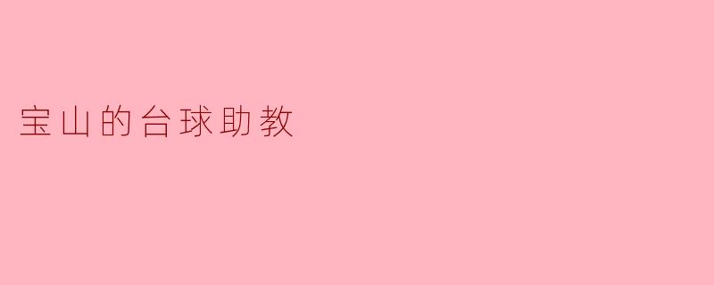 ### 宝山的台球助教
