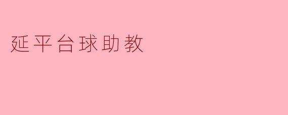 延平台球助教有什么特点和功能？