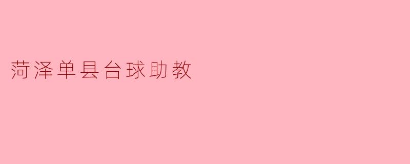 菏泽单县台球助教