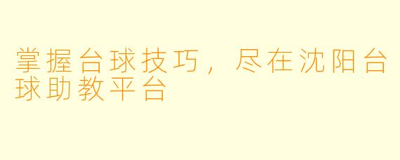掌握台球技巧,尽在沈阳台球助教平台