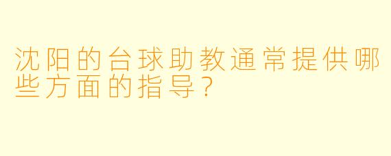 沈阳的台球助教通常提供哪些方面的指导？