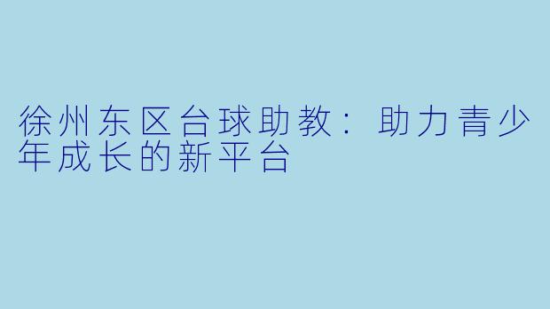 徐州东区台球助教：助力青少年成长的新平台