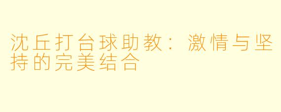 沈丘打台球助教：激情与坚持的完美结合
