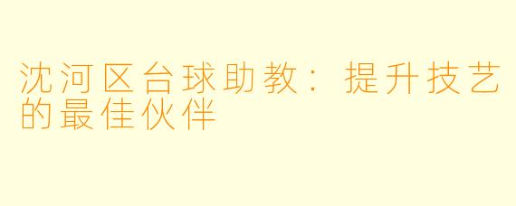 沈河区台球助教:提升技艺的最佳伙伴