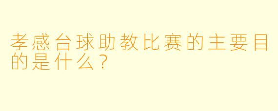 孝感台球助教比赛的主要目的是什么?