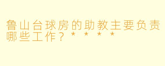 鲁山台球房的助教主要负责哪些工作?****
