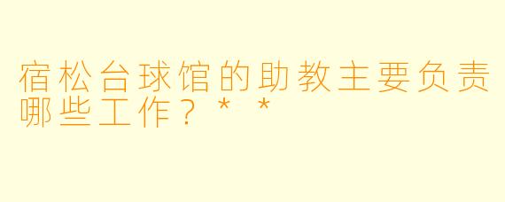 宿松台球馆的助教主要负责哪些工作？**
