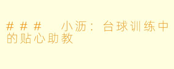 ### 小沥：台球训练中的贴心助教