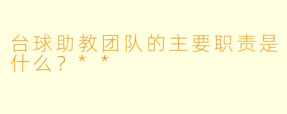 台球助教团队的主要职责是什么?**