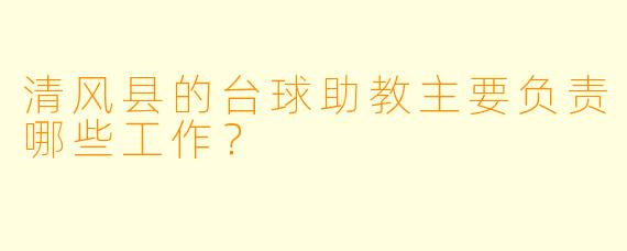 清风县的台球助教主要负责哪些工作？