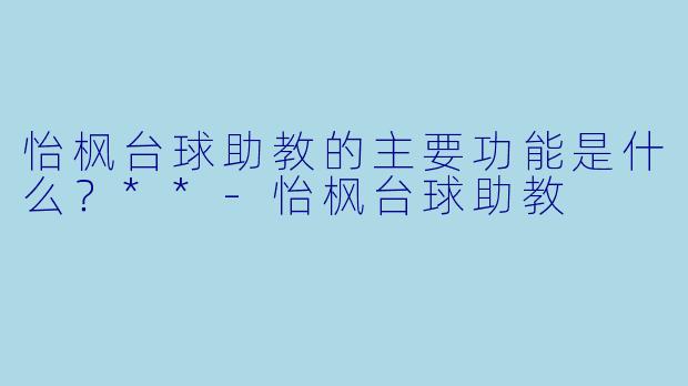 怡枫台球助教的主要功能是什么？**