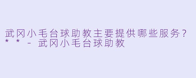 武冈小毛台球助教主要提供哪些服务？**
