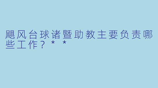 飓风台球诸暨助教主要负责哪些工作？**