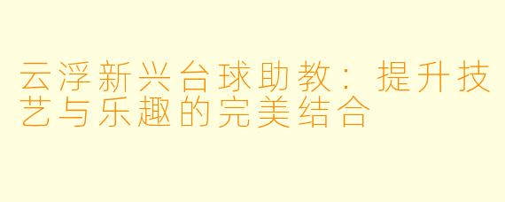 云浮新兴台球助教：提升技艺与乐趣的完美结合