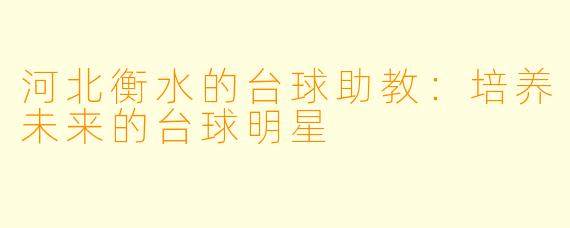 河北衡水的台球助教:培养未来的台球明星