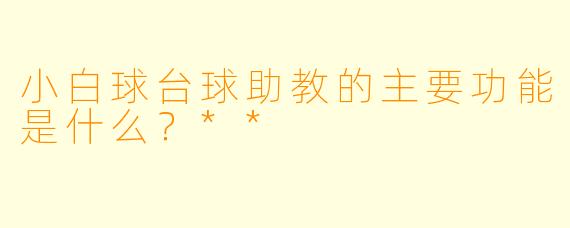 小白球台球助教的主要功能是什么？**