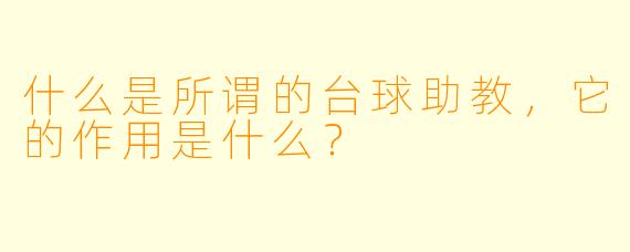 什么是所谓的台球助教，它的作用是什么？