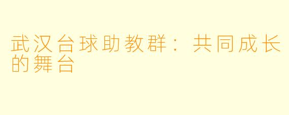 武汉台球助教群：共同成长的舞台