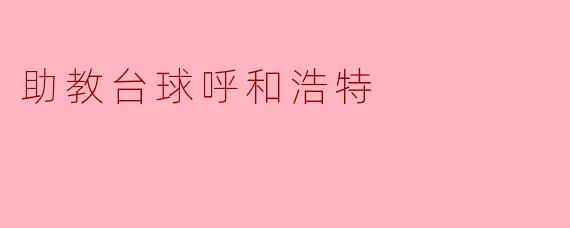 助教台球:呼和浩特的台球新风尚