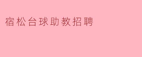 宿松台球助教招聘