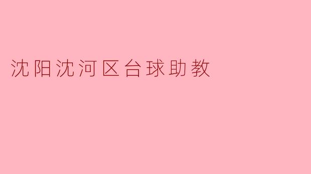 沈阳沈河区台球助教