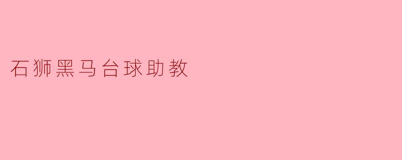 石狮黑马台球助教