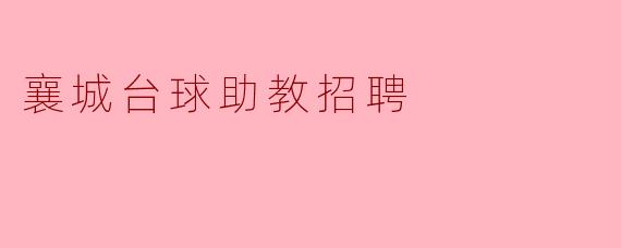请问襄城台球助教招聘的主要职责有哪些?****