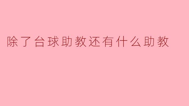 除了台球助教还有什么助教