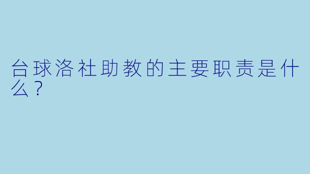 台球洛社助教的主要职责是什么？