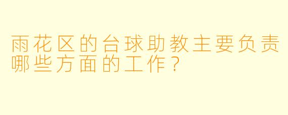 雨花区的台球助教主要负责哪些方面的工作？