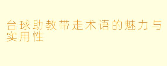台球助教带走术语的魅力与实用性