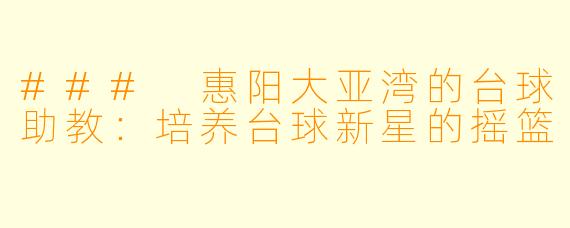 ### 惠阳大亚湾的台球助教：培养台球新星的摇篮