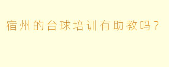 宿州的台球培训有助教吗？
