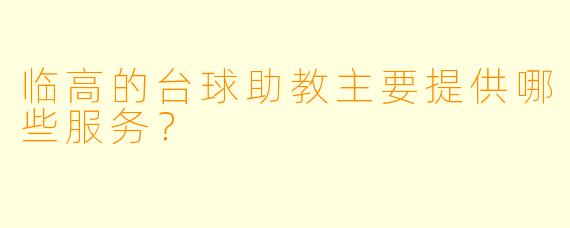 临高的台球助教主要提供哪些服务？