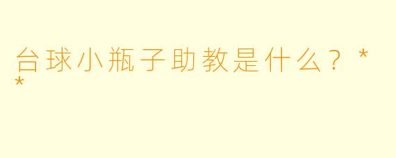 台球小瓶子助教是什么?**