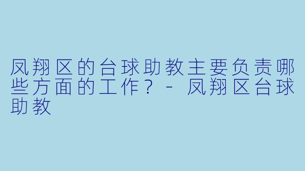 凤翔区的台球助教主要负责哪些方面的工作？