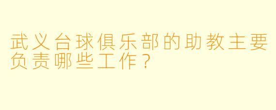 武义台球俱乐部的助教主要负责哪些工作?